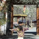 阿坝旅游 缩略图 2