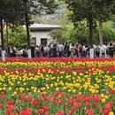 西安旅游 缩略图 12