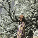 阿坝旅游 缩略图 6
