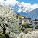 阿坝旅游 缩略图 5