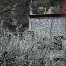 阿坝旅游 缩略图 10