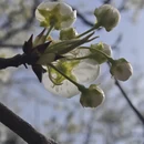 阿坝旅游 缩略图 12