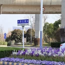 南通旅游 缩略图 5