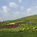 苏州旅游 缩略图 12