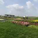 苏州旅游 缩略图 13