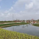 苏州旅游 缩略图 16