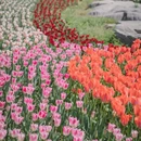 青岛旅游 缩略图 15