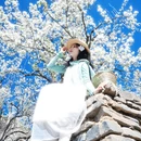 阿坝旅游 缩略图 6