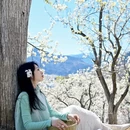 阿坝旅游 缩略图 7