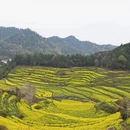黄山旅游 缩略图 1