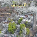 阿坝旅游 缩略图 5