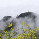 黄山旅游 缩略图 6