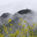 黄山旅游 缩略图 7