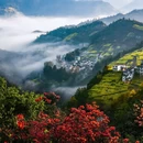 黄山旅游 缩略图 4