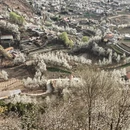 阿坝旅游 缩略图 8