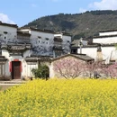 黄山旅游 缩略图 4