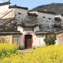 黄山旅游 缩略图 5