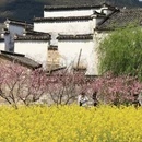 黄山旅游 缩略图 6
