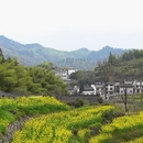 黄山旅游 缩略图 6