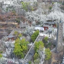 阿坝旅游 缩略图 1