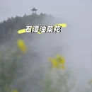 黄山旅游 缩略图 1