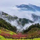 黄山旅游 缩略图 1