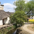 黄山旅游 缩略图 9