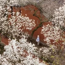 德阳旅游 缩略图 1