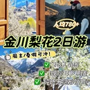 成都旅游 缩略图 1