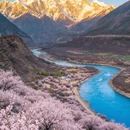 林芝旅游 缩略图 1