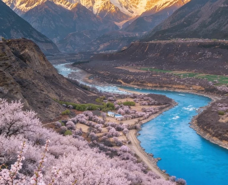 林芝旅游 1