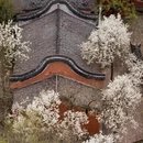 德阳旅游 缩略图 2