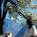 阿坝旅游 缩略图 1