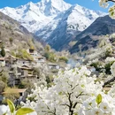成都旅游 缩略图 8