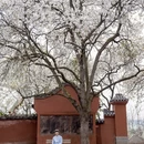 德阳旅游 缩略图 10