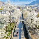 成都旅游 缩略图 4