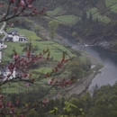 黄山旅游 缩略图 17