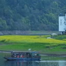 黄山旅游 缩略图 3