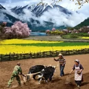 林芝旅游 缩略图 3