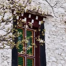 成都旅游 缩略图 6