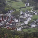 黄山旅游 缩略图 16