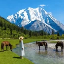 林芝旅游 缩略图 5