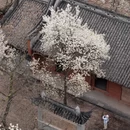 德阳旅游 缩略图 11