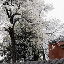 德阳旅游 缩略图 14