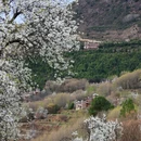 阿坝旅游 缩略图 8