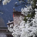 甘孜旅游 缩略图 2