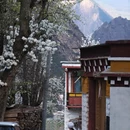 甘孜旅游 缩略图 4
