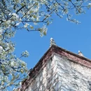 甘孜旅游 缩略图 3