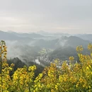 黄山旅游 缩略图 2