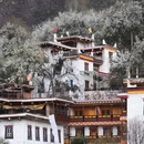 甘孜旅游 缩略图 5